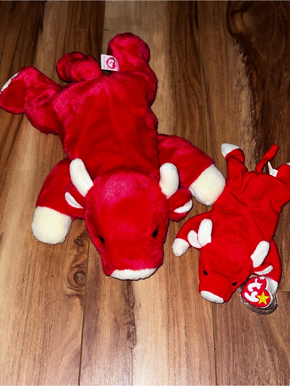Ty Snort the bulls